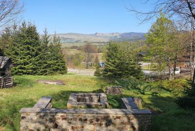 Când simți că ți-a lipsit ceva, e probabil Maramureșul. - 2