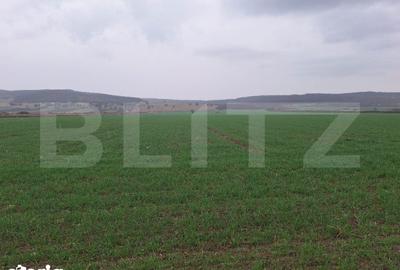 Teren de 10000 mp, în Central - 1