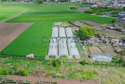 Teren de vanzare in Apahida - 7