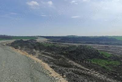 Teren de 67000 mp, în Aradului