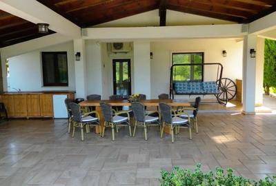 BRANESTI-VILA SUPERBISSIMA,LA LAC,PISCINA,FANTASTICA,UNICAT,700000 EURO - 6