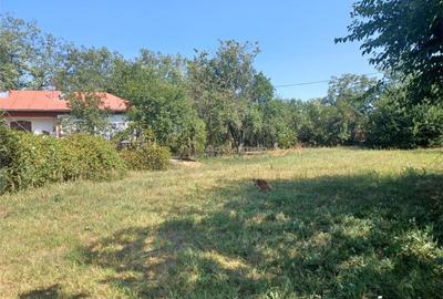 Casa Bila Ghimpati- Giurgiu - 5