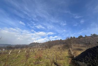 Teren cu casa renovabila in Suceag Teren cu casa renovabila in Suceag - 2