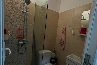 Berceni Brancoveanu etaj 10 oltenitei - 5