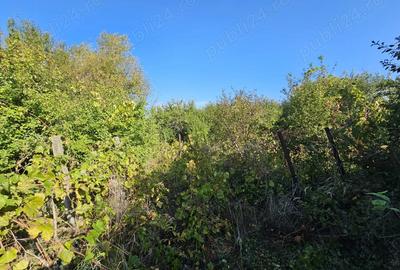 Casa cu teren Conduratu la 4 km de Mizil - 4