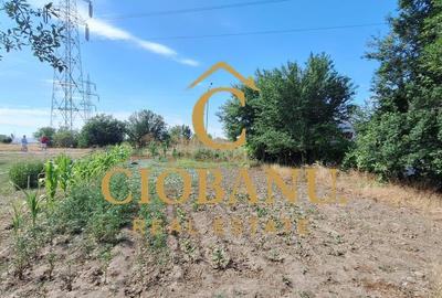 Teren intravilan de vanzare in Isalnita - 8