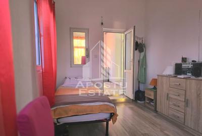 Vila individuala, in Sofronea, jud. Arad - 8