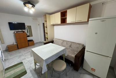 Apartament cu 2 camere decomandat, mobilat în Sub Arini - 3