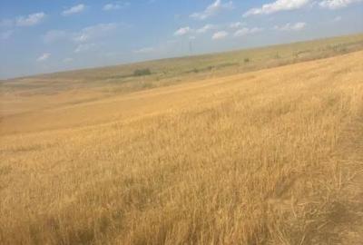 Teren de 500 mp, în Malu Mare - 4