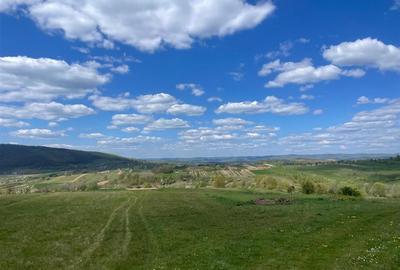 Teren intravilan de 6301 mp, în Bălnaca - 2