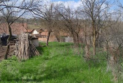 Teren de 2360 mp, în Romos - 5