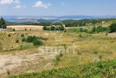 Teren Construcții intravilan de 3695 mp, în Sălicea - 3