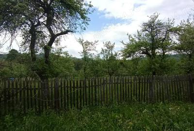 Teren de 860 mp, în Corbi - 4
