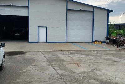 Spațiu comercial, de 500 mp, în Albota