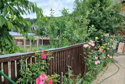 Casa cu teren generos de 1330 mp in Campeni, jud. Alba ideala pentru familie sau casa de vacan?a - 8