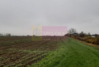 Teren Construcții intravilan de 2250 mp, în 1 Decembrie - 7