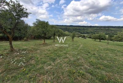 Teren agricol extravilan de 3223 mp, în Sibiel - 9