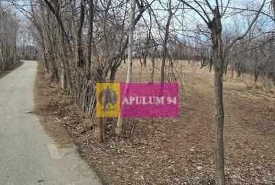 Teren intravilan de vanzare in Cornu de Jos - 4