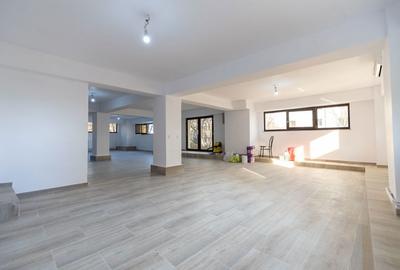 Spațiu comercial, de 130 mp, în Banat - 5