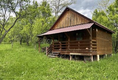 Teren intravilan 3102mp zona Racovita-Blanoiu