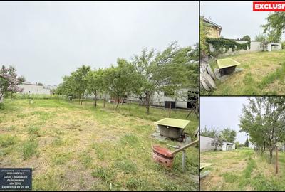 Teren Construcții intravilan de 1305 mp, în Piața Centrală - 6