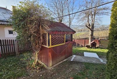 Casă cu 3 camere cu Teren 900 Mp în Cacica - 23