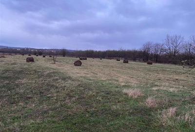 Teren Construcții extravilan de 5087 mp, în Sud-Vest - 12