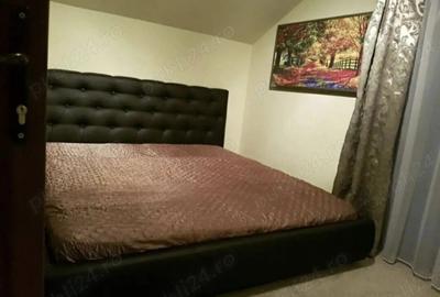 Casă cu 7 camere în Făget - 11