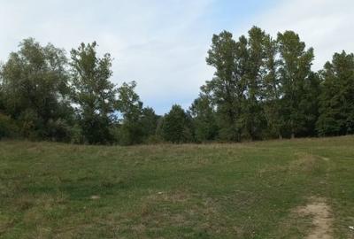 Vând teren 4 euro mp MEHADIA la 8km de BĂILE HERCULANE - 10