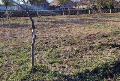 Vând teren intravilan suprafață 1414mp în Sânpetru Mare, jud.Timiș . - 4