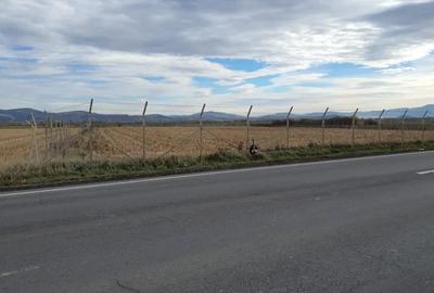 Teren Intravilan Industrial - 2