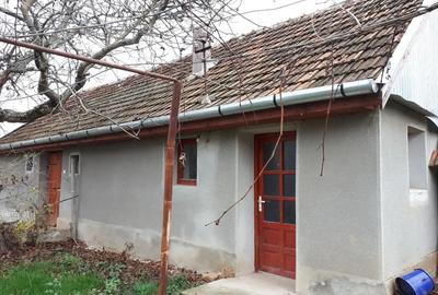 Vand casa la tara cu 2.800 mp teren Chislaz, jud. Bihor - 4