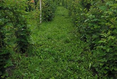 Teren de 2860 mp, în Central - 1