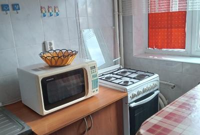 Garsonieră semidecomandată în Brazda lui Novac - 3