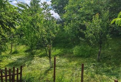 Teren de 800 mp, în Ibănești - 1