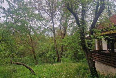 Casă cu 4 camere cu Teren 6000 Mp în Bezdead - 26