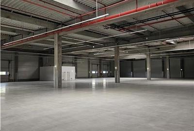 Spatiu Industrial - 2500 mp - Productie - Depozitare - Distributie - 1