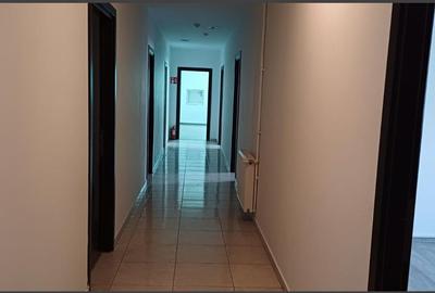 Spațiu industrial, de 870 mp, în Uzina 2 - 16