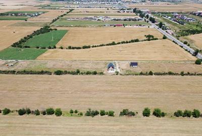 Teren Construcții intravilan de 440 mp, în Berceni - 2