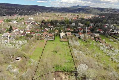 Teren de 4898 mp, în Cornu - 4