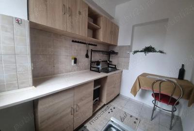 Apartament cu 2 camere semidecomandat în Ozana - 4