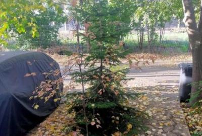 CASA DE VANZARE, BRAGADIRU, 4 CAMERE - 2