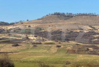 Teren de 13374 mp, în Central - 3