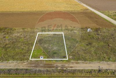 Teren Construcții intravilan de 650 mp, în Nord - 1