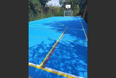 Vila superba 7 camere, Provita de Jos, 22.000 mp teren - 4