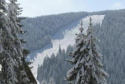 Spațiu comercial, de 125 mp, în Bubești - 7