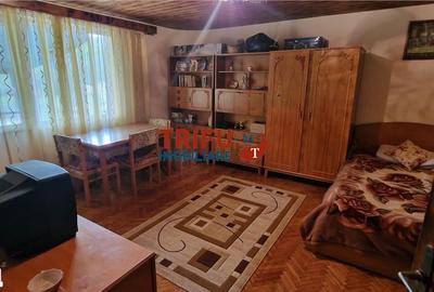 Casă cu 3 camere cu Teren 1338 Mp în Meteș - 5