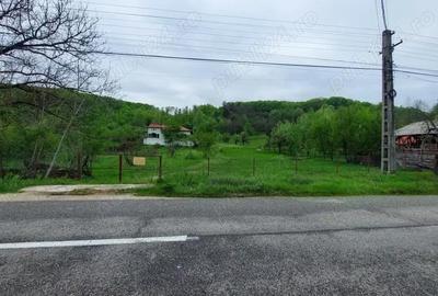 Casă cu 4 camere cu Teren 9000 Mp în Cotmeana - 1