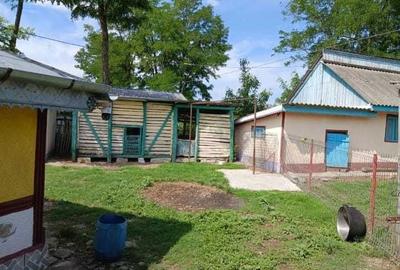 Casă cu 3 camere în Drăgușeni - 4