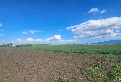 Teren în Stupini - 1